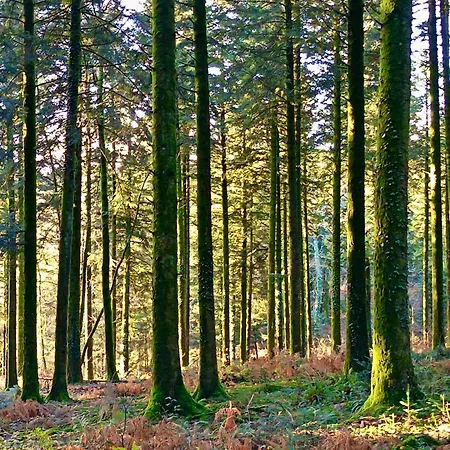 Maison-jardin-montsaintmichel-ideal Pro Et Familles Holiday home