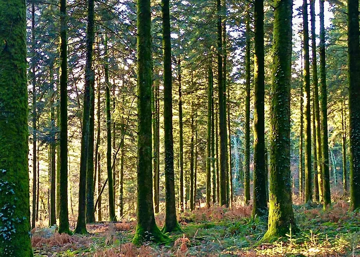 Maison-jardin-montsaintmichel-ideal Pro Et Familles Holiday home